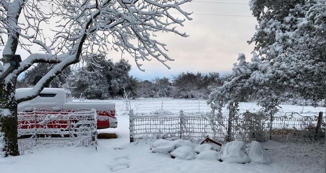 നോ​ർ​ത്ത് ടെ​ക്സ​സി​ൽ മ​ഴ​യ്ക്കും മ​ഞ്ഞ് വീ​ഴ്ച​യ്ക്കും സാ​ധ്യ​ത