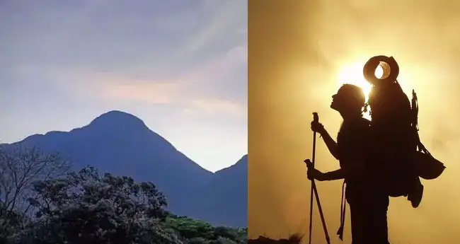 ചൂടപ്പം പോലെ വിറ്റ് അഗസ്ത്യാർകൂടം ട്രക്കിങ് ടിക്കറ്റുകൾ, മിനിറ്റുകൾക്കകം തീർന്നു; വനയാത്ര മോഹിക്കുന്നവർ ഇനി എന്ത് ചെയ്യണം?