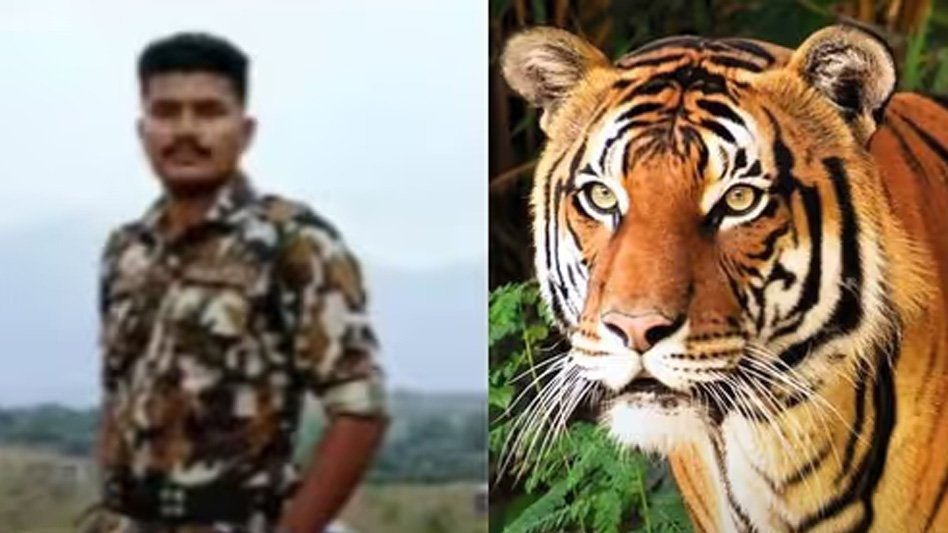 വയനാട്ടിൽ ദൗത്യ സംഘത്തെ കടുവ ആക്രമിച്ചു; ആര്‍ആര്‍ടി ഉദ്യോഗസ്ഥന് പരിക്ക്‌ 