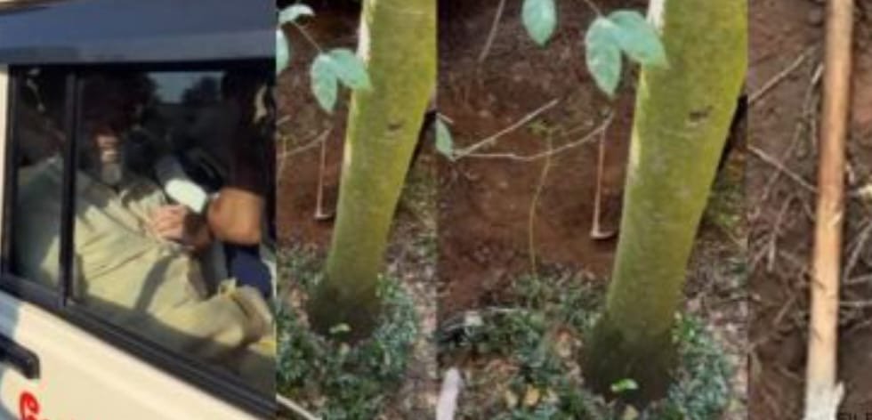 നിധി കുഴിച്ചെടുക്കാൻ എത്തിയ പഞ്ചായത്ത്‌ വൈസ് പ്രസിഡന്റ്‌ അടക്കം അഞ്ചു പേർ പിടിയിൽ