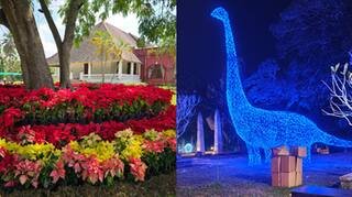 9 ദിവസം, കനകക്കുന്നിലേക്ക് ഒഴുകിയെത്തിയത് രണ്ടര ലക്ഷത്തോളം പേർ; വസന്തോത്സവം ഇന്ന് സമാപിക്കും