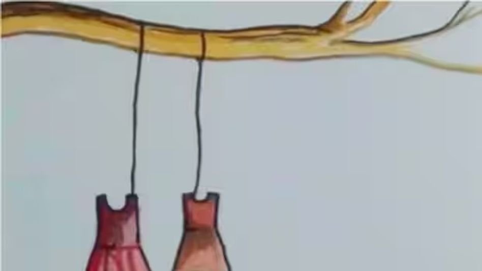 വാളയാര്‍ പെൺകുട്ടികളുടെ മരണം ആത്മഹത്യയാകാമെന്ന് സിബിഐ: കുറ്റപത്രം സമർപ്പിച്ചു 