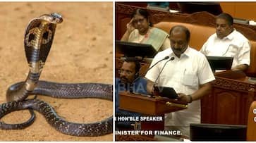 പാമ്പുകടിയേറ്റുള്ള മരണങ്ങൾ ഇല്ലാതാക്കാൻ പദ്ധതി, 25 കോടി അനുവദിച്ച് ബജറ്റ്  