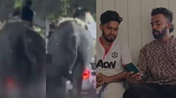 കൂറ്റനാട് ഇടഞ്ഞ ആനയുടെ മുകളിൽ നിന്ന് അസ്കർ വീണത് കൊമ്പിൽ തലയിടിച്ച് ആനയുടെ കാൽച്ചുവട്ടിൽ; നടുക്കുന്ന അനുഭവം