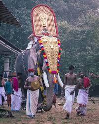 ഉത്സവത്തിന് അനുമതി ഇല്ലാതെ ആനയെ എഴുന്നള്ളിച്ചു; വനം വകുപ്പ് കേസെടുത്തു