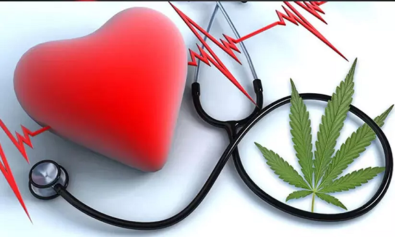 കഞ്ചാവ് ഉപയോഗിക്കുന്നവരിൽ ഹൃദയാഘാതത്തിനുള്ള സാധ്യത ആറിരട്ടി കൂടുതലെന്ന് പഠനം