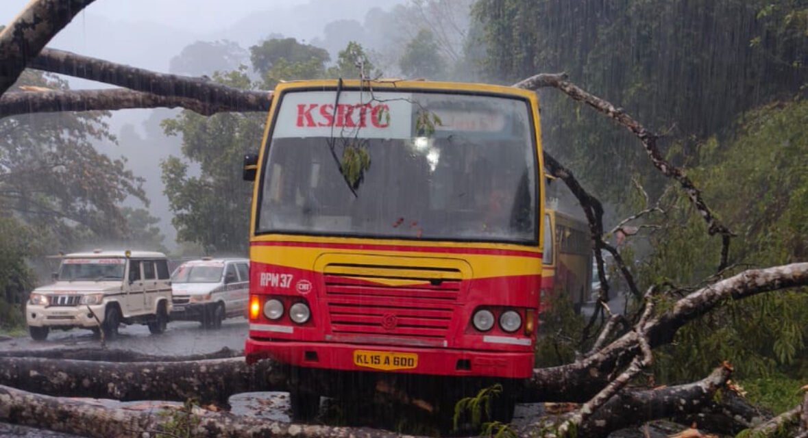 ശബരിമല തീർത്ഥാടകരുമായി പമ്പയിൽ നിന്നും നിലക്കലേക്കു പോയ കെ എസ് ആർ ടി സി ബസിനു മുകളിലേക്കു മരം കടപുഴകി വീണു