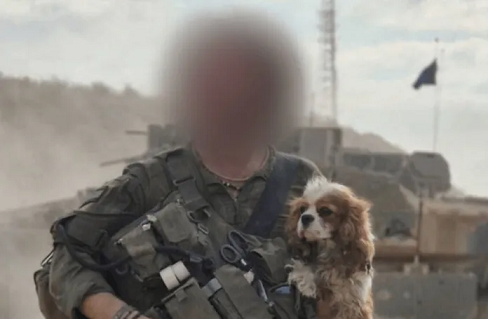 ഹമാസിന്റെ കൈകളിൽനിന്നും ഒടുവിൽ ബില്ലി അവളുടെ പ്രിയപ്പെട്ടവരുടെ അടുത്തേക്ക്