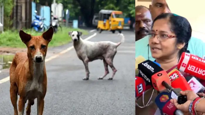 ‘കുട്ടികൾക്ക് പൊക്കം കുറവാണല്ലോ…’: വാക്സിനെടുത്താലും കുട്ടികളിൽ പേവിഷബാധ തടയാൻ കഴിയാത്തതിന്റെ കാരണം വിശദീകരിച്ച് ഡോക്ടർ