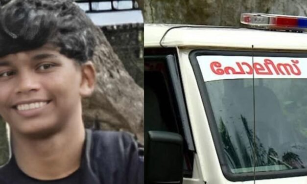 ‘തോട്ടിൽ കുറുകെ കമ്പിയിട്ടിരുന്നു, തനിക്ക് ഷോക്കേറ്റത് അനന്തുവിനെ രക്ഷിക്കാൻ ശ്രമിക്കുന്നതിനിടെ’; പരിക്കേറ്റ ബന്ധു