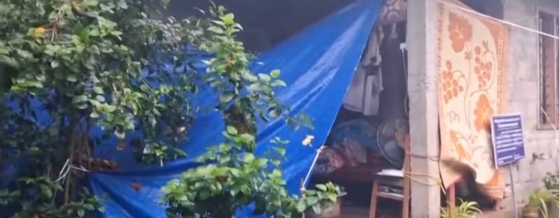 ടാർപ്പോളിൻ കെട്ടിയ കൂരയ്ക്ക് കീഴിൽ കഴിഞ്ഞ കുടുംബത്തിന് തുണയായി കുട്ടികൾ പഠിക്കുന്ന സ്കൂളിലെ അധ്യാപകർ