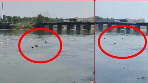 രാജസ്ഥാനിൽ നദിയിൽ കുളിക്കുന്നതിനിടെ എട്ട് പേർ മുങ്ങിമരിച്ചു