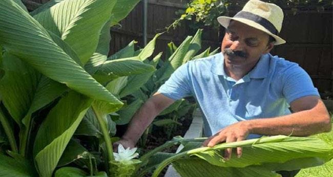 അമേരിക്കൻ മണ്ണിൽ മഞ്ഞളിന്‍റെ വസന്തം പൂത്തു; അഭിമാനത്തോടെ സണ്ണിയും കുടുംബവും