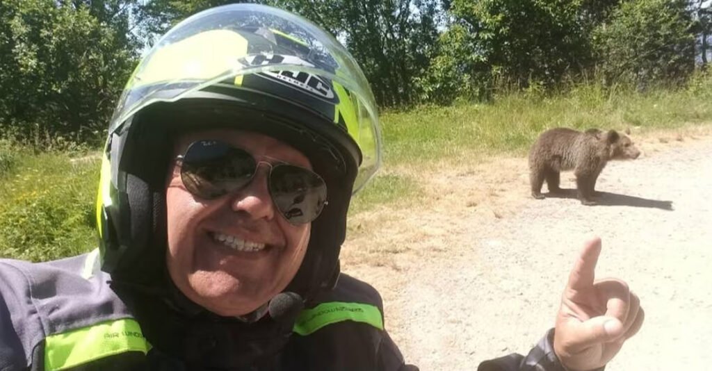 കരടിയ്ക്കൊപ്പം നിന്ന് സെൽഫിയെടുത്തതിന് പിന്നാലെ വിനോദസഞ്ചാരിയെ ആക്രമിച്ചു കൊലപ്പെടുത്തി