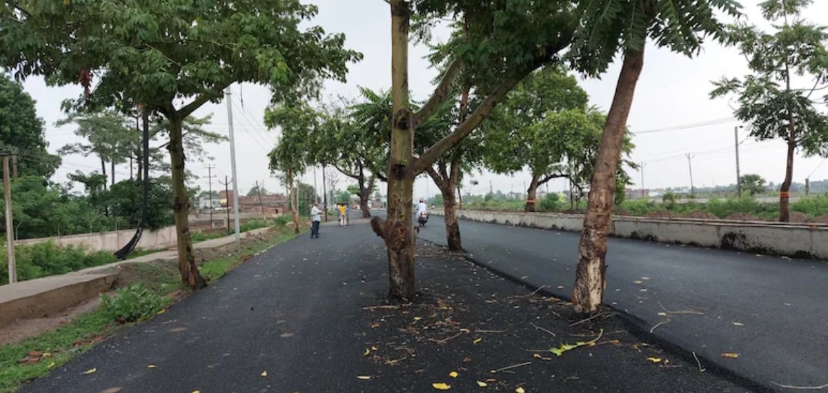 ‘100 കോടിയുടെ റോഡാണത്രെ!’ നടുക്കുള്ള മരങ്ങൾ പോലും വെട്ടാതെ ജില്ലാ ഭരണകൂടത്തിൻ്റെ ‘ആത്മാർത്ഥത’; വ്യാപക വിമർശനം