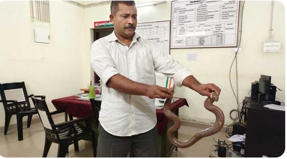 വന്യജീവി സംരക്ഷണ പട്ടികയിലുൾപ്പെട്ട ഇരുതലമൂരിയെ വിൽപ്പന നടത്താനുള്ള ശ്രമത്തിനിടയിൽ ഒരാൾ പിടിയിൽ