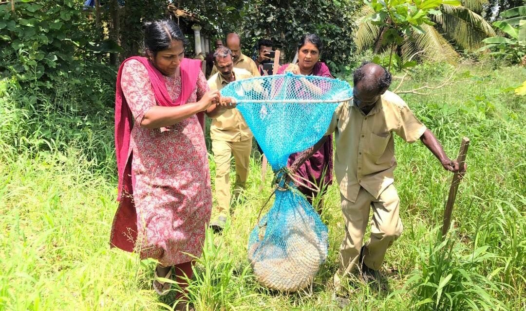 കോട്ടയം നഗരമധ്യത്തിൽ വിവിധ സ്ഥലങ്ങളിലായി 6 പേരെ തെരുവ് നായ ആക്രമിച്ചു.
