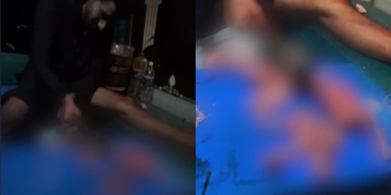 പൂച്ചയെ കൊന്ന് ഇൻസ്റ്റഗ്രാമിൽ പോസ്റ്റ് ചെയ്ത സംഭവം, യുവാവിനെതിരെ കേസെടുത്ത് പൊലീസ്