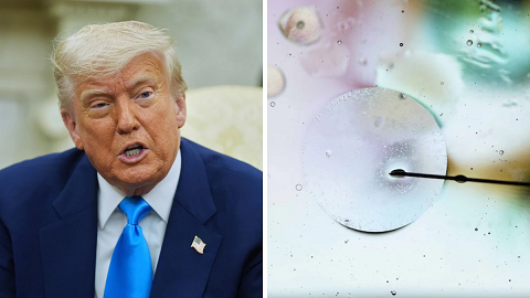 ഐവിഎഫ് ഇൻഷുറൻസ് മാൻഡേറ്റ് പദ്ധതി ട്രംപ് ഭരണകൂടം പിൻവലിച്ചേക്കുമെന്ന് റിപ്പോർട്ട്