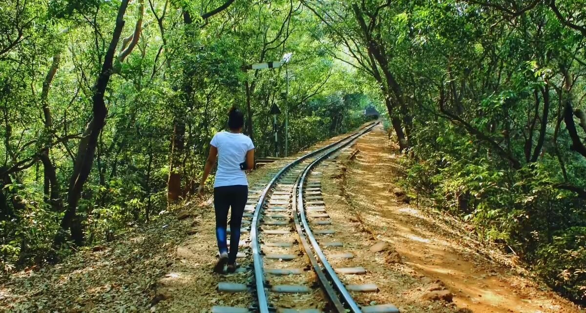 ട്രക്കിങ് പ്രേമികളെ ഇവിടം സ്വർഗമാണ്