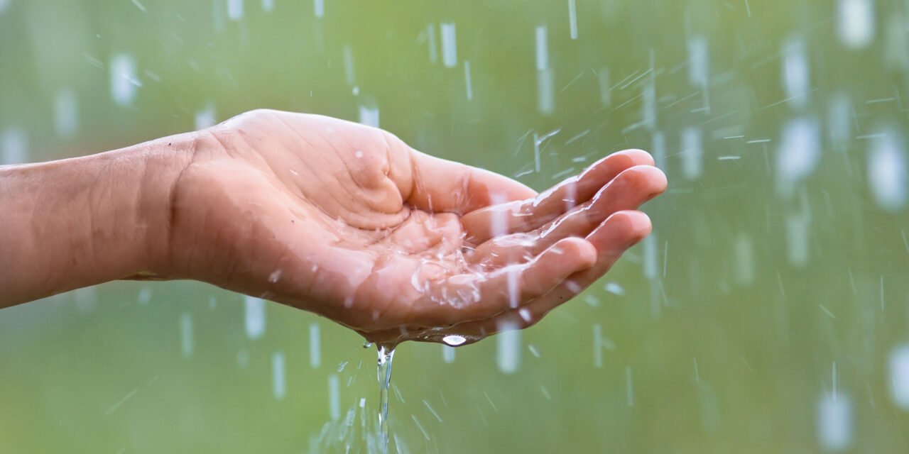 മഴയൊഴിയാതെ കേരളം, ഇന്ന് അഞ്ചിടത്ത് യെല്ലോ അലർട്ട്
