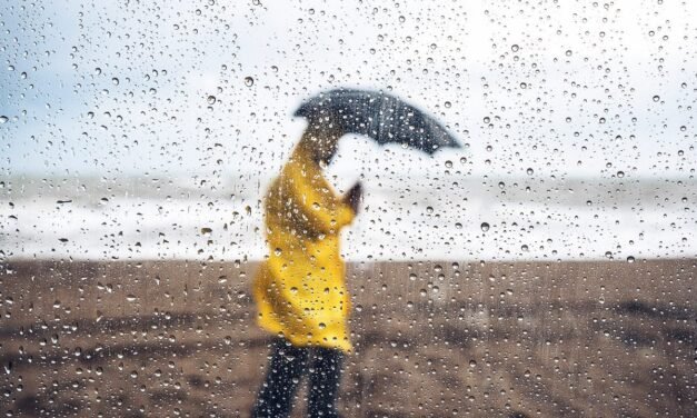 സംസ്ഥാനത്ത് ശക്തമായ മഴയ്ക്ക് ശമനം; ഇടിമിന്നൽ ജാഗ്രത, കള്ളക്കടൽ മുന്നറിയിപ്പ്