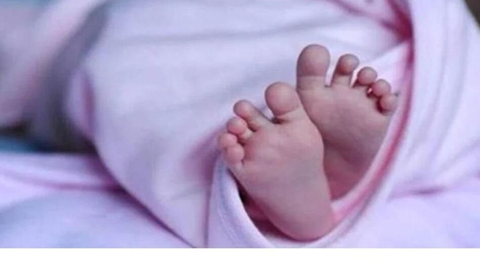ഹ​രി​പ്പാ​ട്ട് പ്ര​സ​വ​ത്തി​ന് പി​ന്നാ​ലെ മാ​താ​വ് വ​ലി​ച്ചെ​റി​ഞ്ഞ കു​ഞ്ഞി​നെ സി​ഡ​ബ്ല്യു​സി ഏ​റ്റെ​ടു​ക്കും