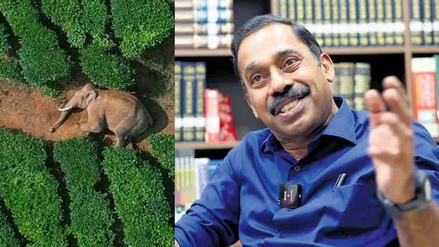 ‘അന്ന് അരിക്കൊമ്പനെ മാറ്റിയിരുന്നില്ലെങ്കിൽ ഇന്ന് അവനെ ജീവനോടെ കാണില്ലായിരുന്നു’; വെളിപ്പെടുത്തി ഡോ. അരുൺ സക്കറിയ