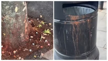 ലണ്ടനിലെ തെരുവുകളിൽ ചുവന്ന കറകൾ, വൃത്തിയാക്കാൻ ചെലവ് പ്രതിവർഷം 35 ലക്ഷം രൂപ; ഒടുവിൽ കടുത്ത തീരുമാനമെടുത്ത് ബ്രെന്‍റ്