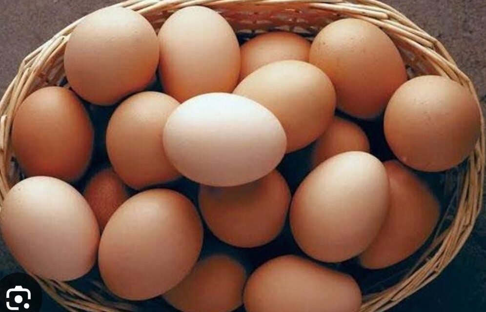 രാജ്യത്ത് മുട്ടവില കഴിഞ്ഞ അഞ്ചുവർഷത്തെ ഏറ്റവും ഉയർന്ന നിലവാരത്തിലെത്തി.