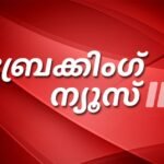 ദുബായ് എയർ ഷോക്കിടെ ഇന്ത്യയുടെ തേജസ് ഫൈറ്റർ തകർന്നു
