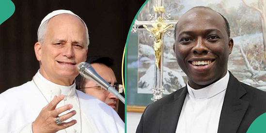 വത്തിക്കാൻ സ്റ്റേറ്റ് സെക്രട്ടേറിയേറ്റിൽ പൊതുകാര്യങ്ങളുടെ ഉപദേഷ്ടാവായി നൈജീരിയൻ വൈദികനെ നിയമിച്ച് ലെയോ പാപ്പ