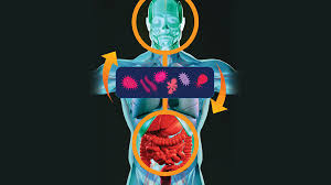 നിങ്ങളുടെ ഉറക്കം നഷ്ടപ്പെടുത്തുന്നത് ഈ വില്ലൻ; തലച്ചോറിൻ്റെ കോട്ട തകർത്ത് അകത്തുകടക്കുന്നു!