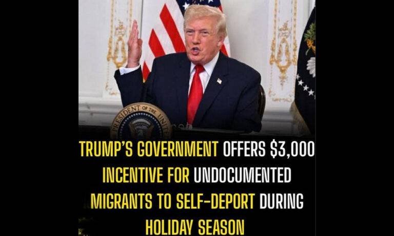 ഡിസംബർ 31-നകം സ്വയം നാട്ടിലേക്ക് മടങ്ങുന്നവർക്ക് സൗജന്യ വിമാന ടിക്കറ്റും 3,000 ഡോളറും വാഗ്ദാനം ചെയ്ത് അമേരിക്ക