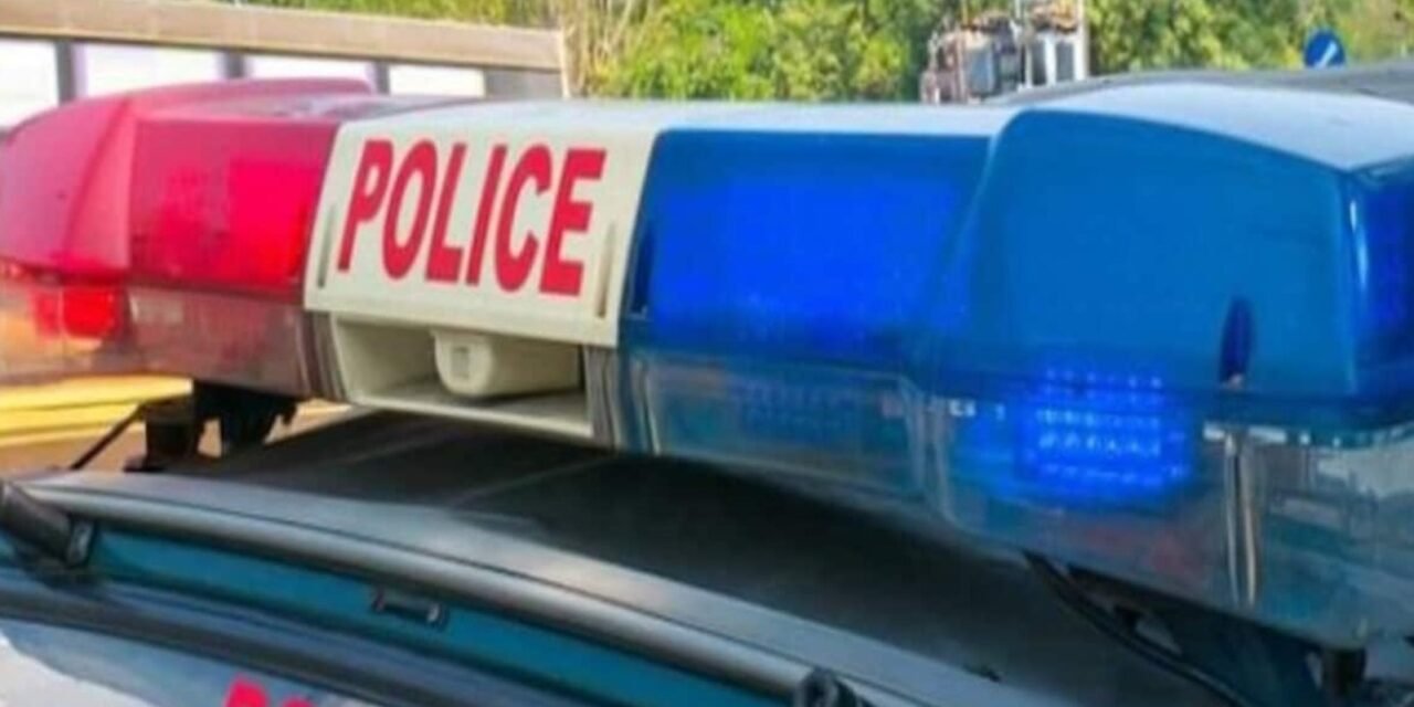 പുലർച്ചെ പള്ളിയിലേക്ക് പോവുകയായിരുന്ന വയോധികയുടെ നാല് പവൻ്റെ സ്വർണമാല മോഷ്ടാക്കൾ പൊ ട്ടിച്ചെടുത്തു