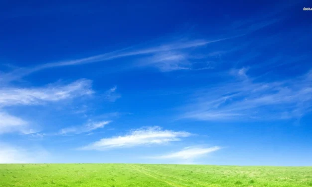 സംസ്ഥാനത്ത് ശക്തമായ മഴയ്ക്ക് ശമനം; അടുത്ത നാല് ദിവസത്തെ കാലാവസ്ഥ ഇങ്ങനെ