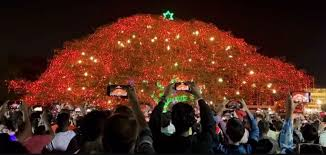 ഫോര്‍ട്ട് കൊച്ചിയിൽ പുതുവത്സരാഘോഷത്തിന് കര്‍ശന സുരക്ഷ