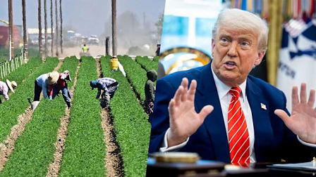 കാർഷിക മേഖലയ്ക്ക് കൈത്താങ്ങായി 12 ബില്യൺ ഡോളർ: കർഷകർക്കായി പുതിയ സഹായ പാക്കേജ് പ്രഖ്യാപിക്കും