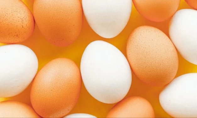 ജാഗ്രതൈ! ഈ 5 സാധനങ്ങൾ മുട്ടയോടൊപ്പം കഴിക്കരുത്, ദോഷം ചെറുതല്ല