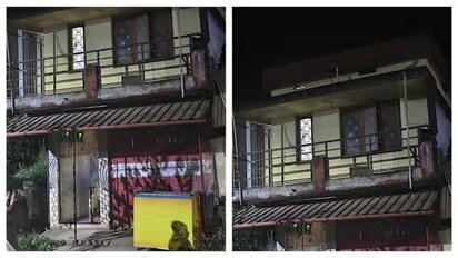 ഒറ്റപ്പാലത്ത് അർദ്ധരാത്രിയിൽ അരുംകൊല: ദമ്പതികളെ വെട്ടിക്കൊലപ്പെടുത്തി, 4 വയസുളള കൊച്ചുമകന് ​ഗുരുതരപരിക്ക്, യുവാവ് കസ്റ്റഡിയിൽ