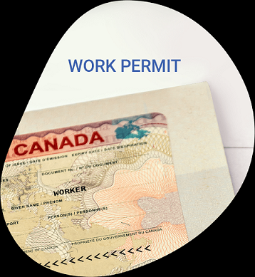 വർക്ക് പെർമിറ്റ് കാലഹരണപ്പെട്ടു: കാനഡയിൽനിന്ന് 10 ലക്ഷം ഇന്ത്യൻ വിദ്യാർത്ഥികൾ പുറത്തായേക്കും