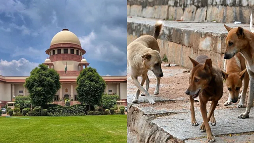 ‘തെരുവുനായ്ക്കൾക്ക് കൗണ്‍സിലിംഗ് നല്‍കണം’; മൃഗസ്‌നേഹികൾക്ക് നേരെ പരിഹാസവുമായി സുപ്രീംകോടതി