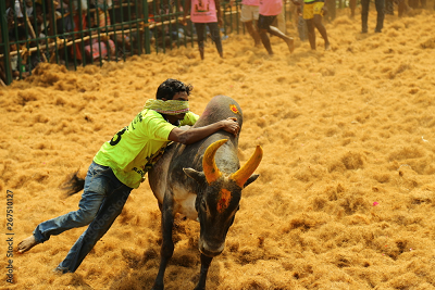 ജല്ലിക്കെട്ട് വീരന്‍മാര്‍ക്ക് സര്‍ക്കാര്‍ ജോലി; പ്രഖ്യാപിച്ച് തമിഴ്‌നാട് മുഖ്യമന്ത്രി