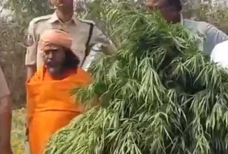 ക്ഷേത്രപരിസരത്ത് കഞ്ചാവ് കൃഷി; തെലങ്കാനയിൽ പൂജാരി പിടിയിൽ