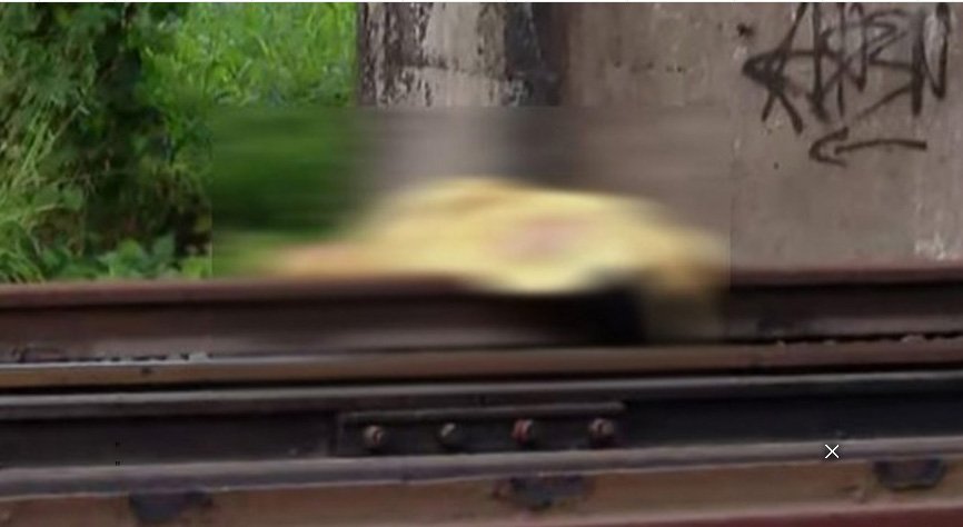 കൊല്ലപ്പെട്ടത് കോട്ടയം സ്വദേശി? സിം കാര്‍ഡ് സുധയുടെ പേരില്‍; റെയില്‍വേ ട്രാക്കിലും രക്തക്കറകള്‍