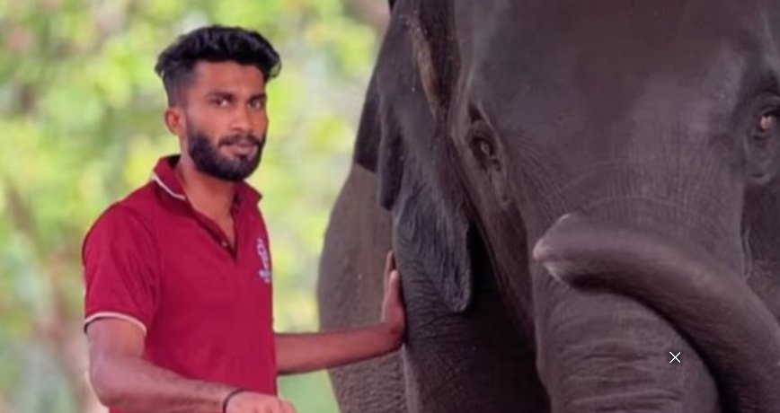 ആ​ന പ​രി​ശീ​ല​ന കേ​ന്ദ്ര​ത്തി​ല്‍ ആ​ന പാ​പ്പാ​നെ തു​മ്പി​കൈ കൊ​ണ്ട് അ​ടി​ച്ചു കൊ​ന്നു