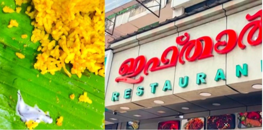 മയോണൈസില്‍ ചത്ത പല്ലി; പരാതിപ്പെട്ടെങ്കിലും നടപടിയില്ല