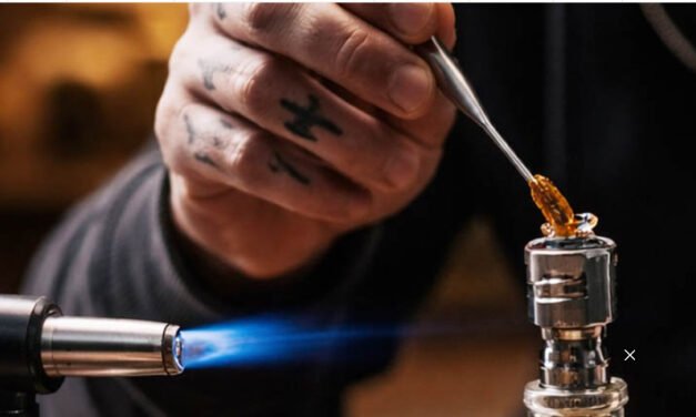 ഹാ​ഷി​ഷ് ഓ​യി​ലു​മാ​യി ഉത്സവം കൂടാനെത്തി; തൊടുപുഴ സ്വദേശി തൃശൂരിൽ പി​ടി​യി​ൽ