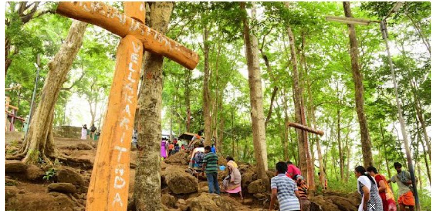 മ​ല​യാ​റ്റൂ​ർ കു​രി​ശു​മു​ടി തീ​ർ​ഥാ​ട​ന​ത്തി​ന് ഇ​ന്നു തു​ട​ക്കം
