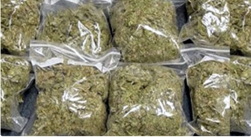 ആ​ലു​വ മ​ണ​പ്പു​റ​ത്തേ​ക്കു​ള്ള ഭ​ക്ഷ്യ​വ​സ്തു​ക്ക​ളു​ടെ മ​റ​വി​ല്‍ ക​ഞ്ചാ​വ് ക​ട​ത്ത്; 38 കി​ലോ​യു​ടെ പൊ​തി​ക​ള്‍ പി​ടി​കൂ​ടി